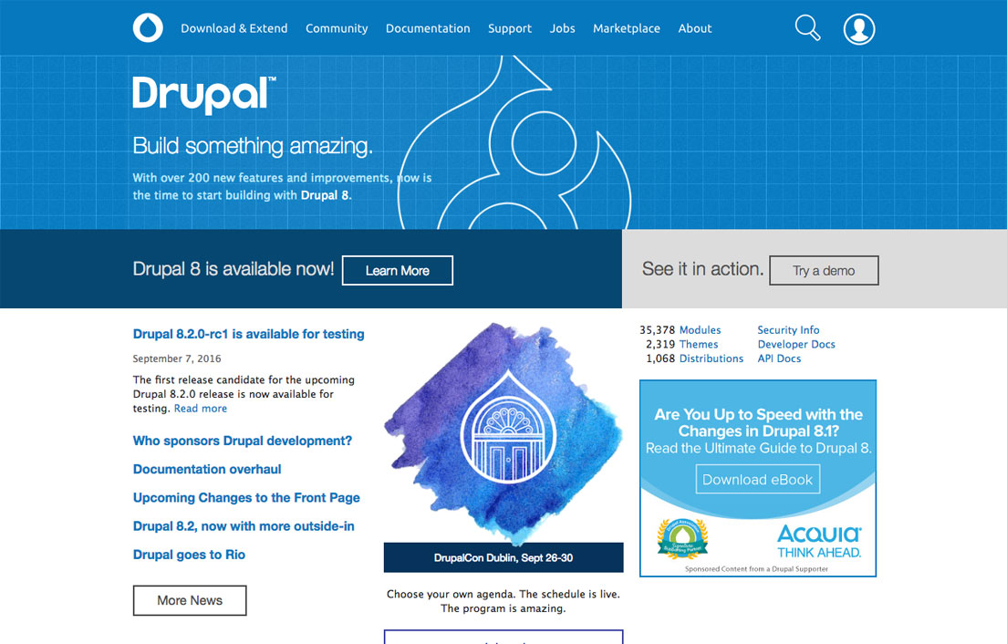 drupal cms portal development service